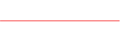 Novikov logo